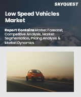 Global Low Speed Vehicle Market