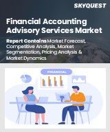 Global Financial Accounting Advisory Services Market