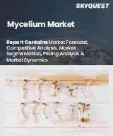 Mycelium Market