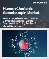 Human Chorionic Gonadotropin Market  