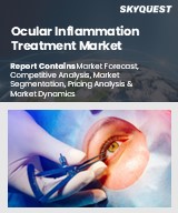 Global Ocular Inflammation Treatment Market