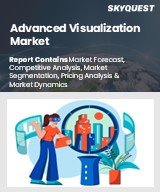 Global Advanced Visualization Market