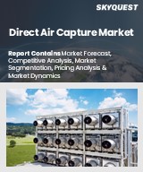 Global Direct Air Capture Market