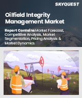 Global Oilfield Integrity Management Market
