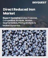 Direct Reduced Iron Market