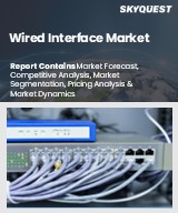 Wired Interface Market