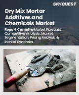 Global Dry Mix Mortar Additives and Chemicals Market
