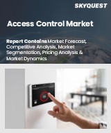 Global Access Control Market