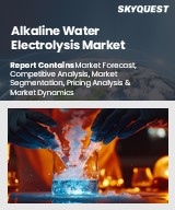 Global Alkaline Water Electrolysis Market