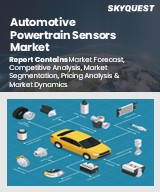 Global Automotive Powertrain Sensors Market