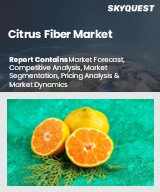 Global Citrus Fiber Market   