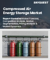 Global Compressed Air Energy Storage Market