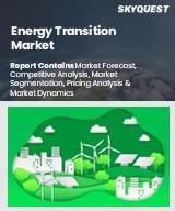 Global Energy Transition Market