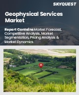 Global Geophysical Services Market