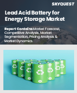 Global Lead Acid Battery for Energy Storage Market