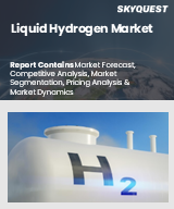 Global Liquid Hydrogen Market
