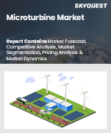 Global Microturbine Market