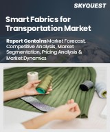 Global Smart Fabrics for Transportation Market
