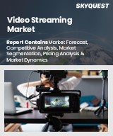 Global Video Streaming Market