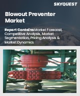 Global Blowout Preventer Market