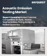 Global Acoustic Emission Testing Market