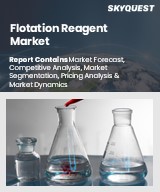 Global Flotation Reagent Market