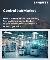 Global Central Lab Market