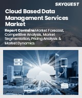 Global Cloud Based Data Management Services Market