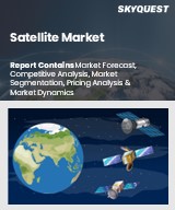 Global Satellite Market
