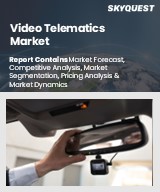 Video Telematics Market