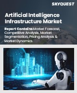 Global Artificial Intelligence Infrastructure Market