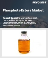 Global Phosphate Esters Market