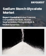 Global Sodium Starch Glycolate Market