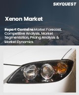 Global Xenon Market