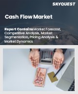 Global Cash Flow Market