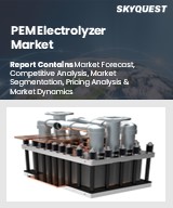 Global PEM Electrolyzer Market