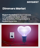 Global Dimmers Market