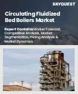 Global Circulating Fluidized Bed Boilers Market