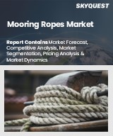 Global Mooring Ropes Market