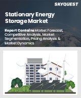 Global Stationary Energy Storage Market