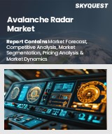 Global Avalanche Radar Market