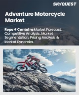 Global Adventure Motorcycle Market