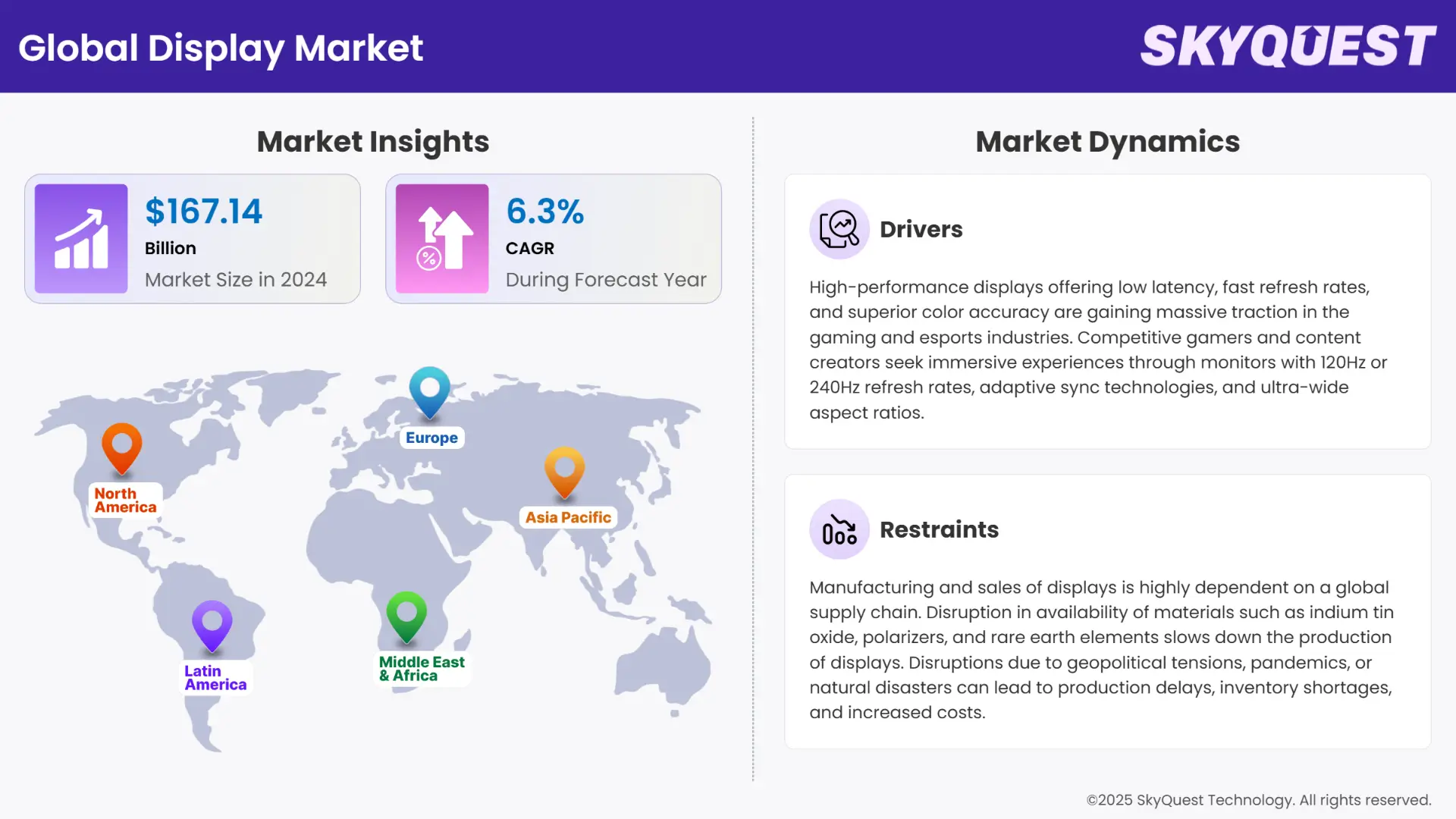 Display Market Infographics