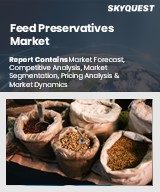 Global Feed Preservatives Market