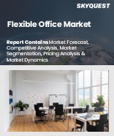Global Flexible Office Market