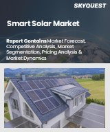 Smart Solar Market