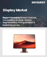 Global Display Market