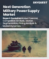 Global Next Generation Military Power Supply Market