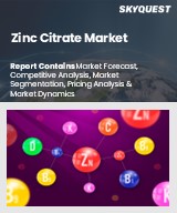 Global Zinc Citrate Market