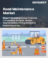 Road Maintenance Market